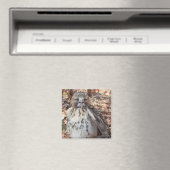 Rode De steel verwijderde van Verdubbelde Havik Magneet (Insitu (Vaatwasser))