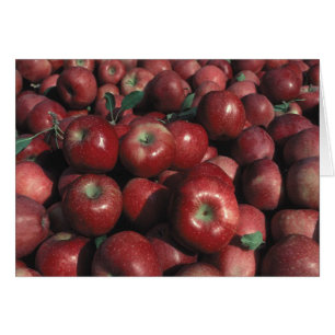 Rode Delicious Appel Foto Lege Wenskaart