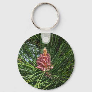 Rode dennenboom pollen kegel (Pinus resinosa) Sleutelhanger