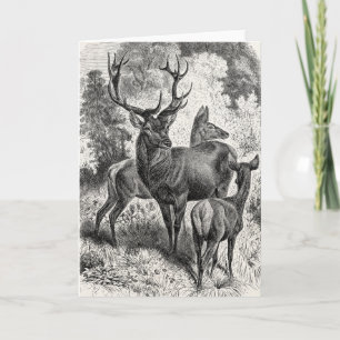  Rode Der Illustration Stag Doe Fawn van 1800's Kaart