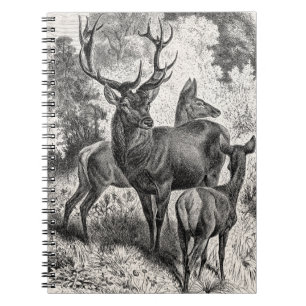  Rode Der Illustration Stag Doe Fawn van 1800's Notitieboek