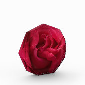 Rode Diamanten Fotoblokken (Links)