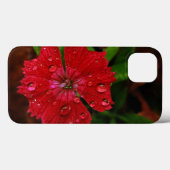Rode Dianthus Met Regendruppels Case-Mate iPhone Case (Achterkant (horizontaal))