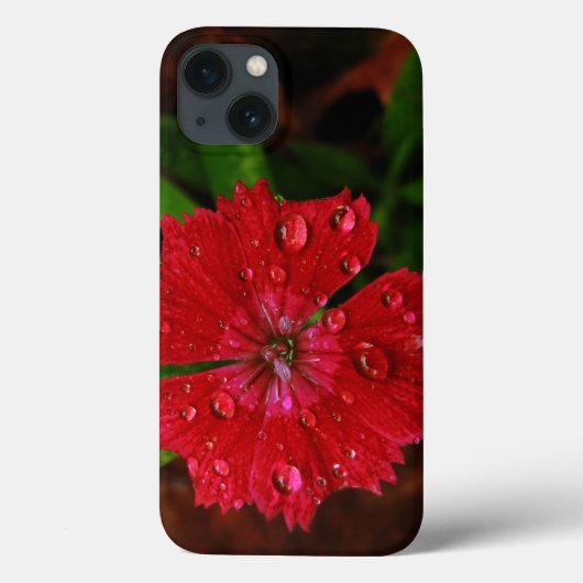 Rode Dianthus Met Regendruppels Case-Mate iPhone Case (Achterkant)