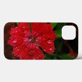 Rode Dianthus Met Regendruppels Case-Mate iPhone Case (Achterkant (horizontaal))