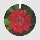 rode dianthus met regendruppels ornament (achterkant)