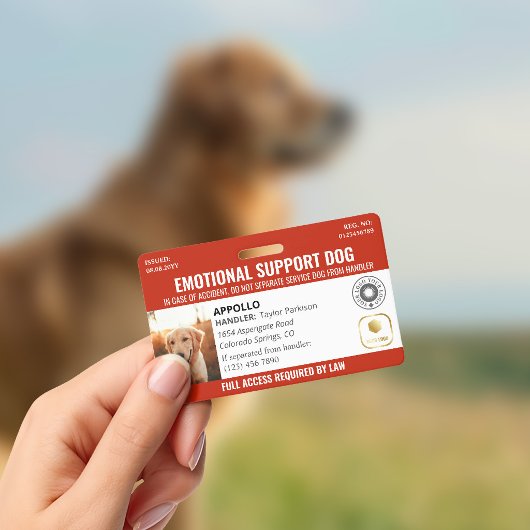 Rode Diensthond 2 Logo & Foto ID Badge