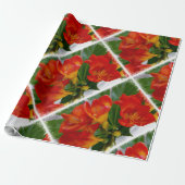 Rode diepte cadeaupapier (Uitgerold)