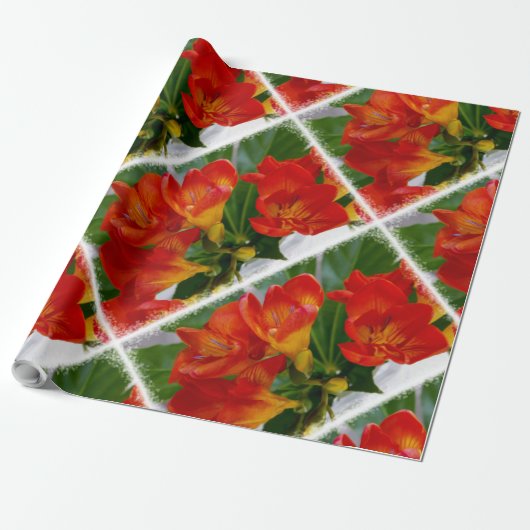 Rode diepte cadeaupapier (Uitgerold)