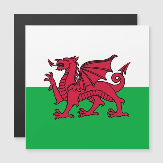 Rode Draak Keltische Vlag van Wales & Welsh (Voorkant / Achterkant)
