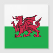 Rode Draak Keltische Vlag van Wales & Welsh (Voorkant)