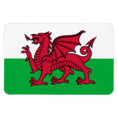Rode Draak Keltische Vlag van Wales & Welsh Magneet (Horizontaal)