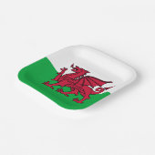 Rode Draak Keltische Vlag van Wales & Welsh Papieren Bordje (Gebogen)