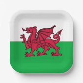 Rode Draak Keltische Vlag van Wales & Welsh Papieren Bordje (Voorkant)