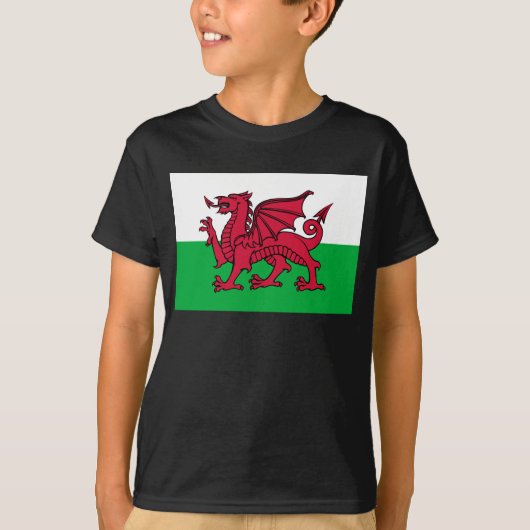 Rode Draak Keltische Vlag van Wales & Welsh T-shirt (Voorkant)