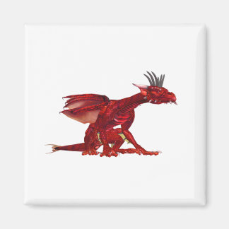Rode draak magneet