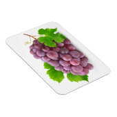 Rode druif magneet (Rechterzijde)