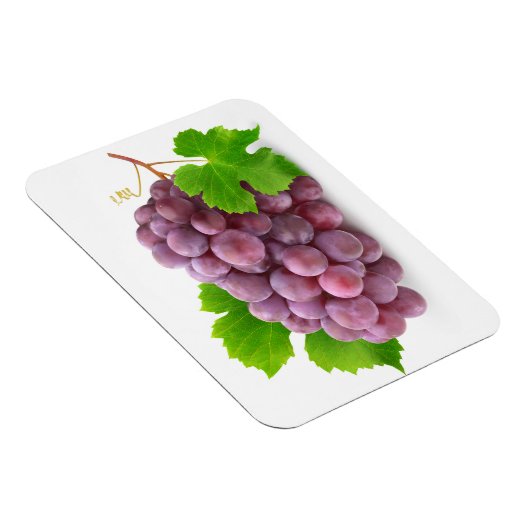 Rode druif magneet (Rechterzijde)