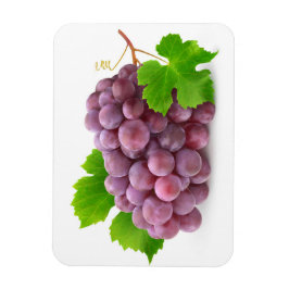 Rode druif magneet