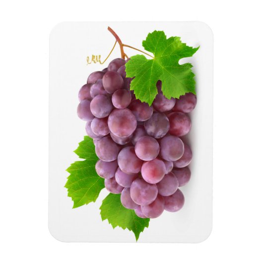 Rode druif magneet (Verticaal)