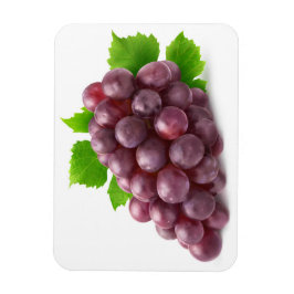 Rode druif magneet