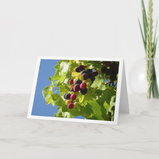 Rode druiven Groene bladeren Kaart (Voorkant)