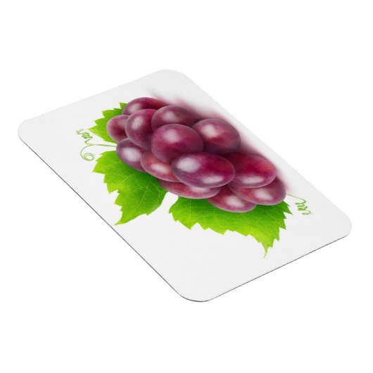 Rode druiven magneet (Rechterzijde)