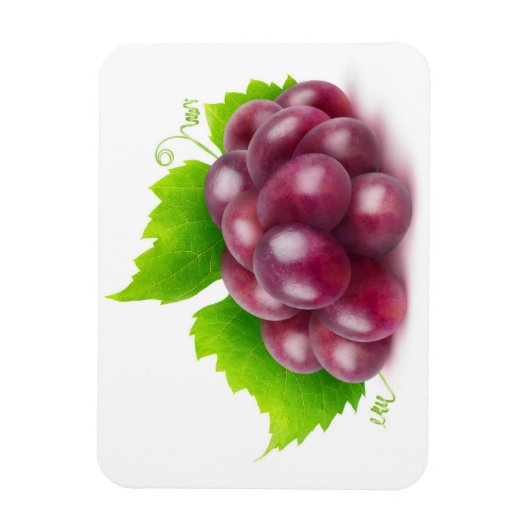 Rode druiven magneet (Verticaal)