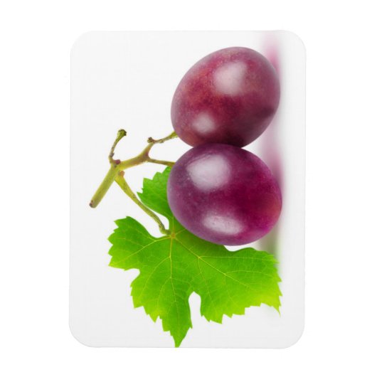 Rode druiven magneet (Verticaal)