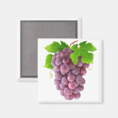 Rode druiven magneet (Voorkant / Achterkant)