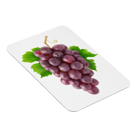 Rode druiven magneet (Rechterzijde)