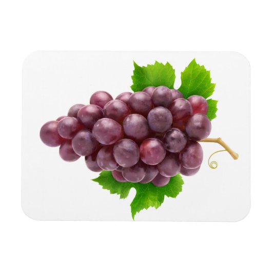 Rode druiven magneet (Horizontaal)
