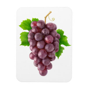 Rode druiven magneet