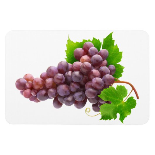 Rode druiven magneet (Horizontaal)