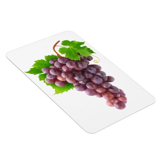 Rode druiven magneet (Rechterzijde)