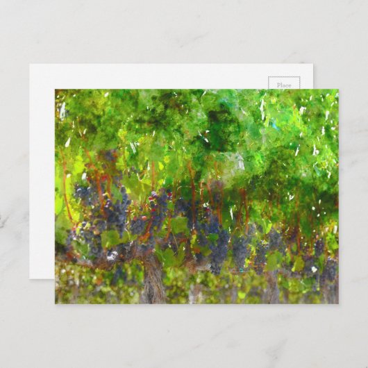 Rode druiven op de wijn briefkaart (Voorkant / Achterkant)