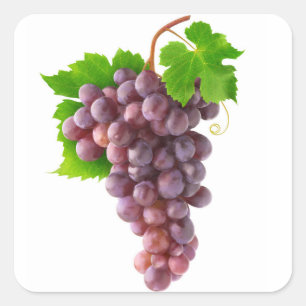 Rode druiven vierkante sticker