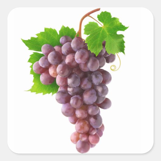 Rode druiven vierkante sticker (Voorkant)