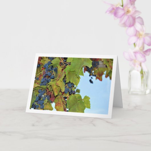 Rode druivenwijnstok in blauwe lucht kaart (Orchidee)