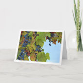 Rode druivenwijnstok in blauwe lucht kaart (Voorkant)