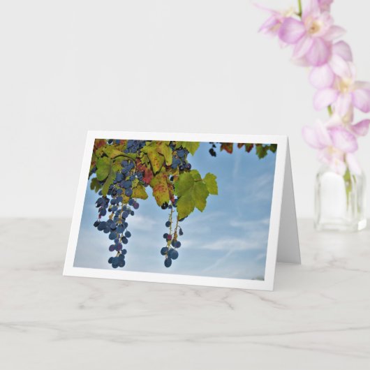 Rode druivenwijnstok in blauwe lucht kaart (Orchidee)