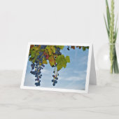 Rode druivenwijnstok in blauwe lucht kaart (Voorkant)