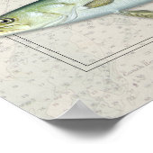 Rode drum, Crevalle Jack, Zee Trout Trio Poster (Hoek)