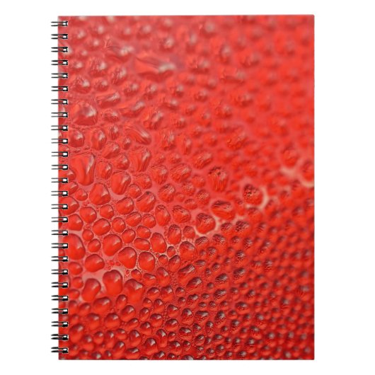 Rode druppels op glas notitieboek (Voorkant)