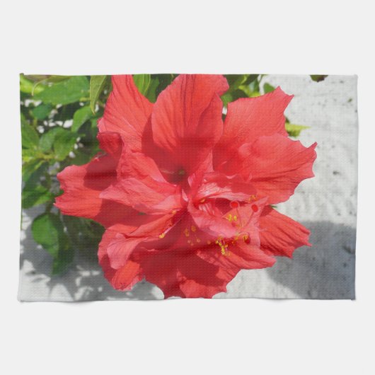 Rode Dubbele Hibiscus Bloem Theedoek (Horizontaal)