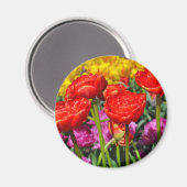 Rode dubbele tulpen magneet (Voorkant / Achterkant)