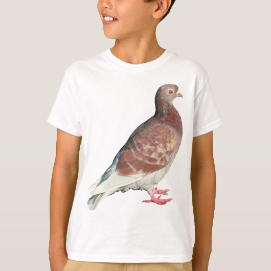 Rode duif (geïsoleerd) t-shirt (Voorkant)