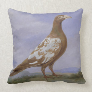 Rode duif (olie op doek) kussen