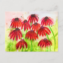 Rode Echinacea Bloeit Waterverf Botanische Kunst Feestdagenkaart