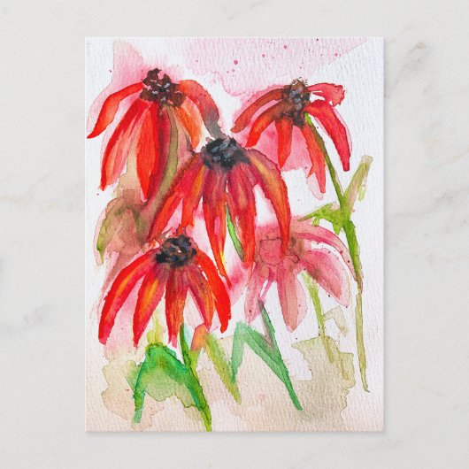 Rode Echinacea Bloemen in Waterverf Feestdagenkaart (Voorkant)